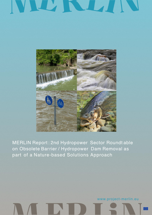 open/download report RT2: Hydropower as pdf