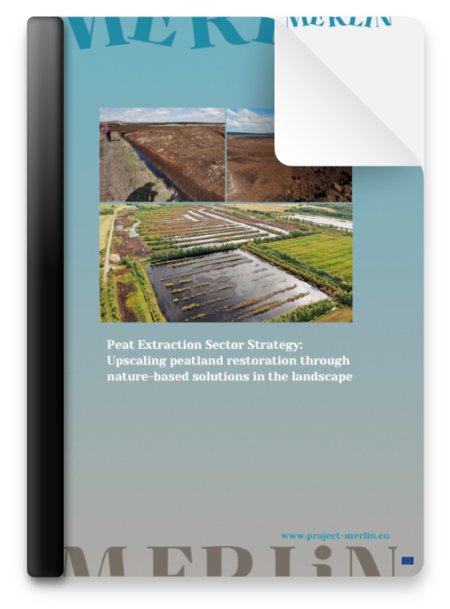 download strategy (pdf)
