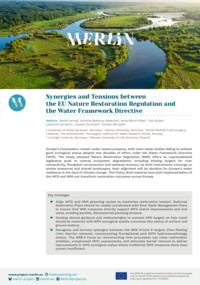 download policy brief as pdf