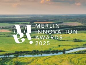 MIA awards 2025