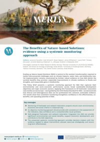 download policy brief as pdf