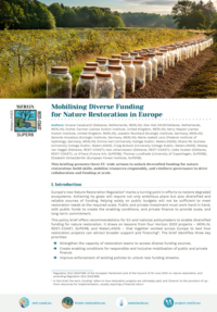 download policy brief as pdf