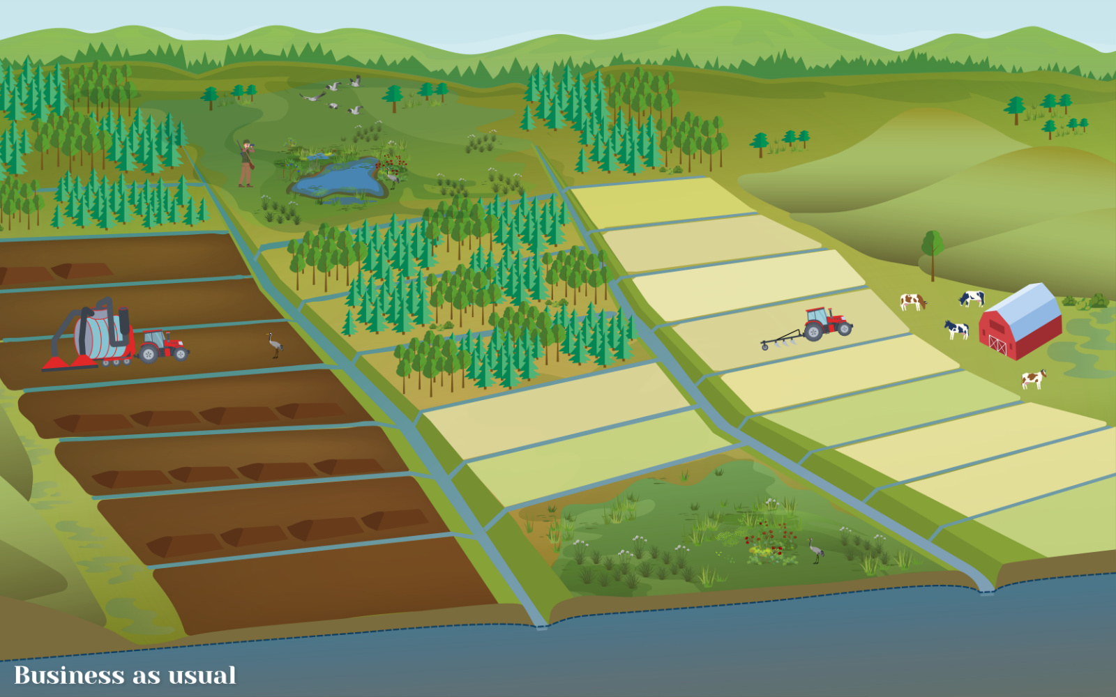 peatlands and wetlands before